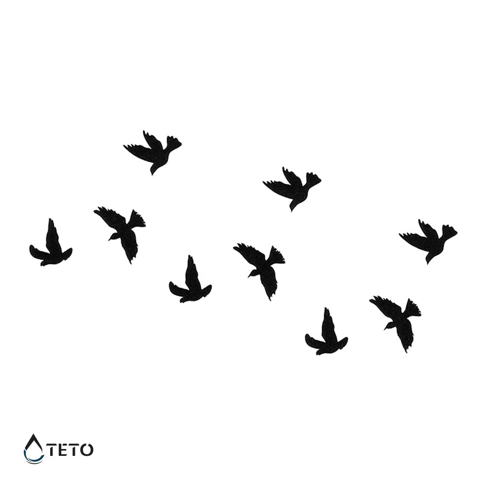 Aves en negro - Set Pequeño